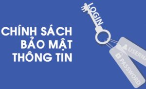 So Sánh Chính Sách Bảo Mật Tại Hai Cổng Game tdtc Và Gemwin